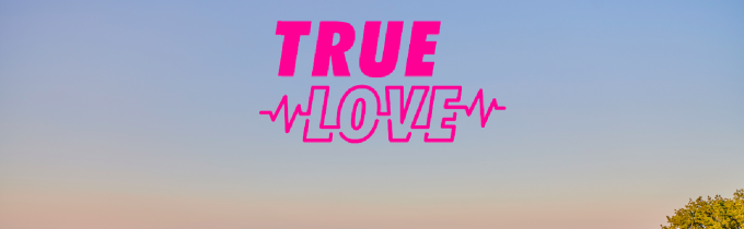 Job: True Love søger deltagere!